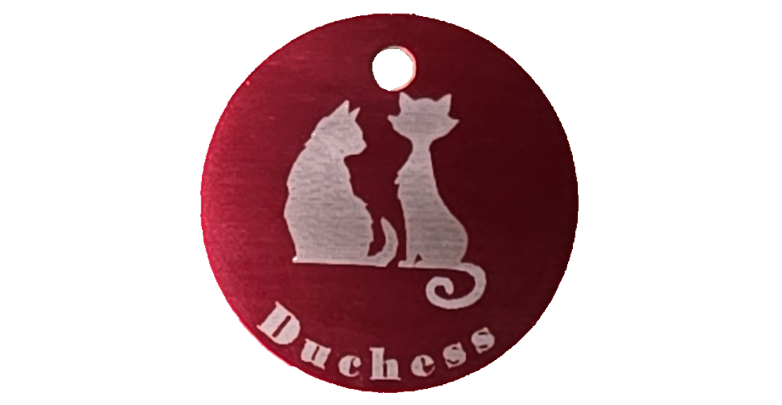 2025 Season - Show Tags
